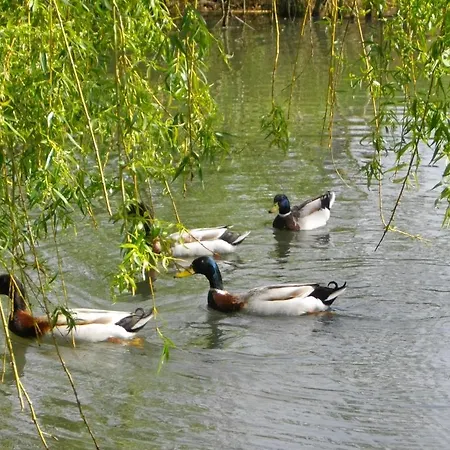 La Tour Perrier Eyrans-de Soudiac